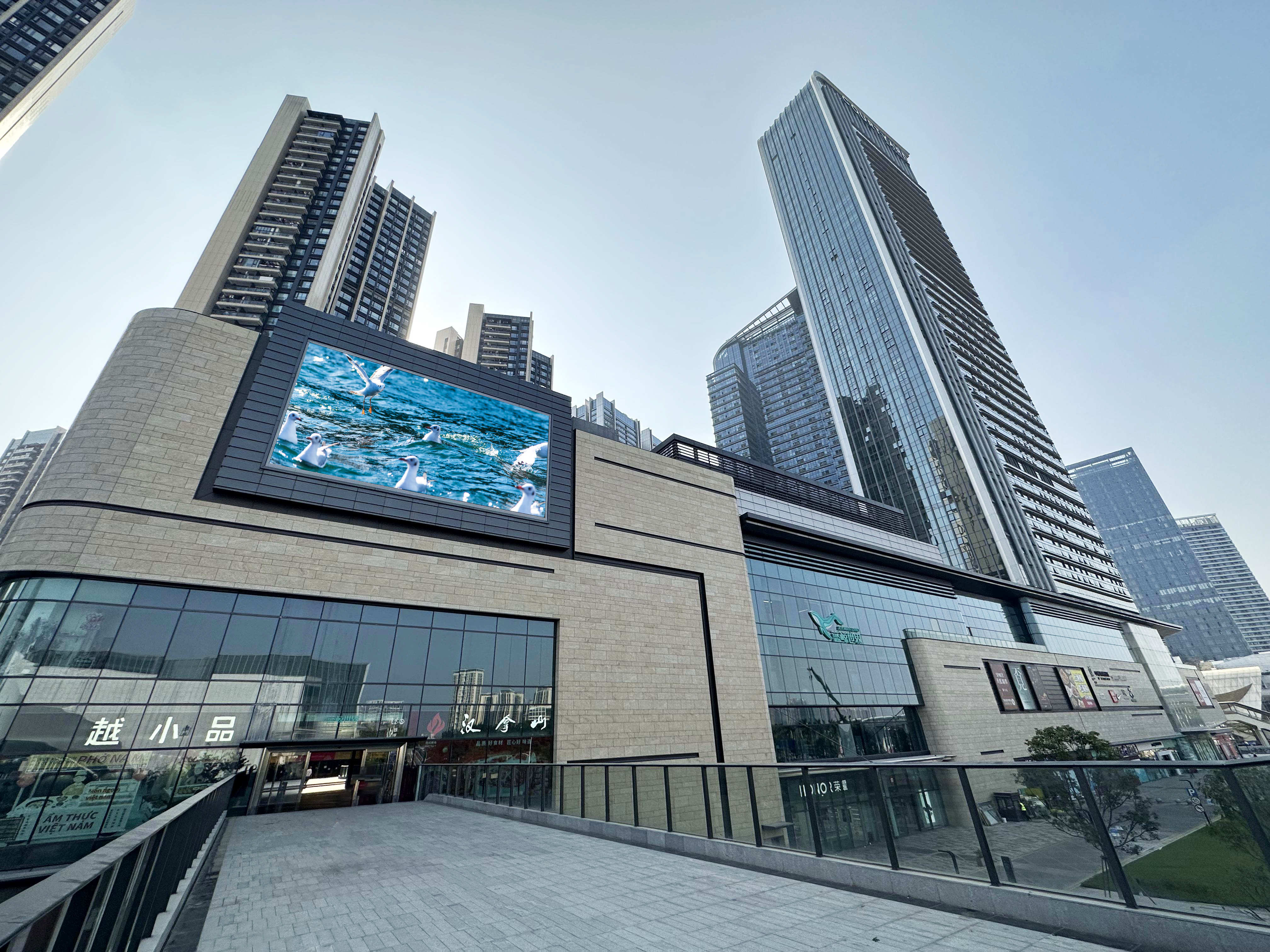Shenzhen guangming blue whale world6