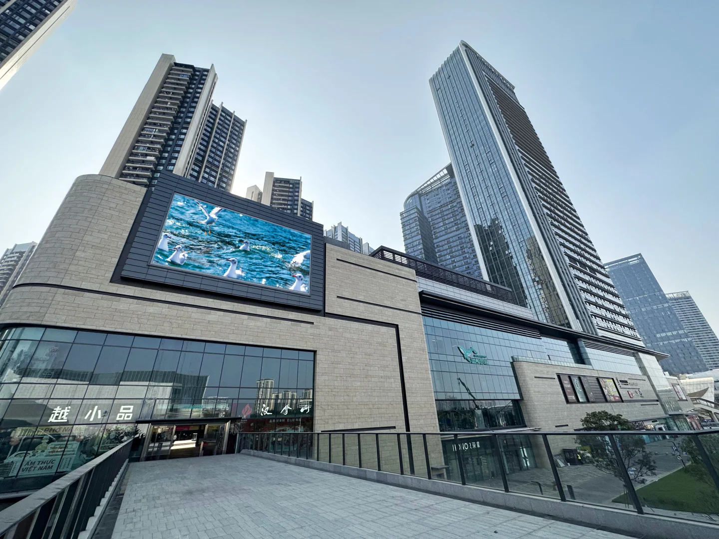 Shenzhen guangming blue whale world6