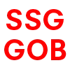 SSG ｜ 硬屏 + GOB