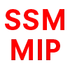 SSM｜硬屏 + MIP